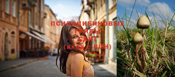 стафф Баксан