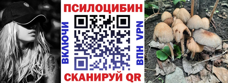 купить  сайты  Пудож  Галлюциногенные грибы прущие грибы 